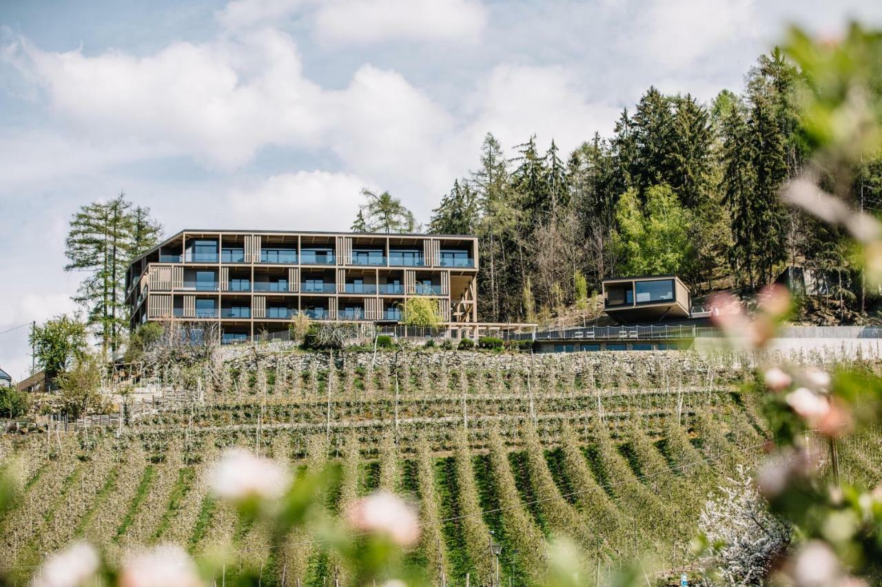 Panoramic Suites Winzerhoehe Schenna Ngoại thất bức ảnh